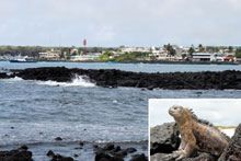 Le Galapagos vietate a maxi-navi da crociera