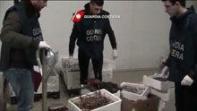 Nella filiera dei prodotti ittici sequestri per 120 tonnellate