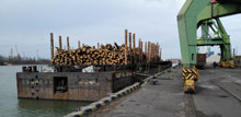 Trasporti transatlantici di tronchi di legno