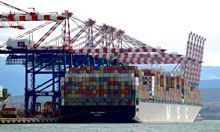 “MSC London” a Gioia Tauro nuovo record per Contship