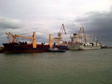 Manfredonia “hub” eolico