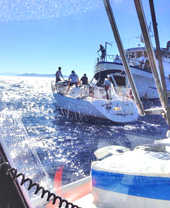 Barca a vela disalbera: a bordo anche due bambini