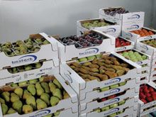Imballaggi per l’ortofrutta con cartone “certificato”