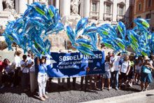 Delfini liberi nella Fontana di Trevi