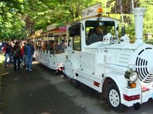 Al Villaggio “Tuttovela” con i trenini shuttle