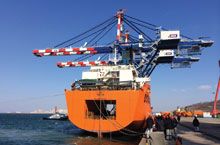 Maxi-portainers LSCT