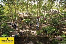 Le “navi gialle” per l’Amazzonia in un progetto di riforestazione