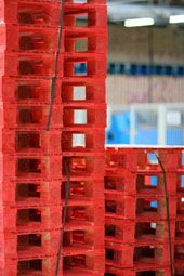 A Fruit anche Euro Pool System LPR