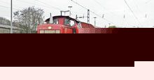 La cellulosa punta al treno