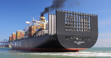 msc-margarita