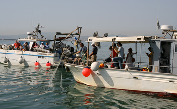 pescaturismo2