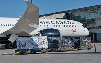 Air-Canada