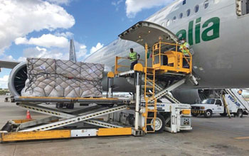 Alitalia-mascherine-Brasile