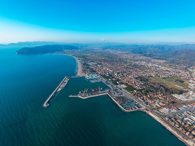 Carrara1000