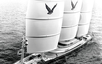 EN_Lusben_STD_-Maltese-Falcon_2023