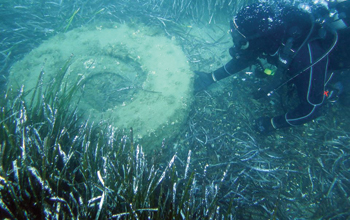 EcoTyre2