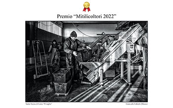 Foto-vincitore-concorso-fotografico-mitilicoltori-2022