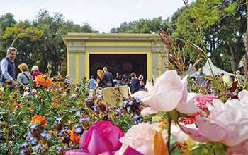 Harborea_Totale_Teatrino