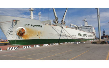 ICE-runner-Maestro-Reefers