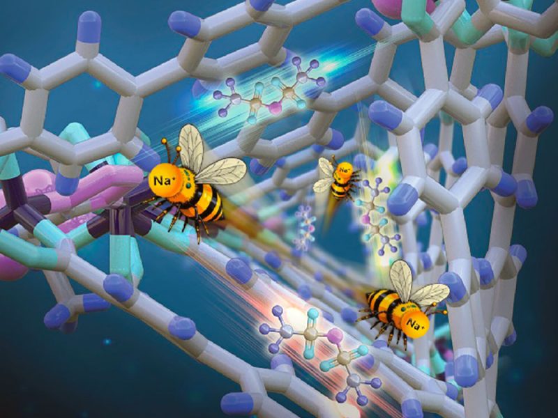 Illustraz-copertina-rivista-Advanced-Functional-Materials