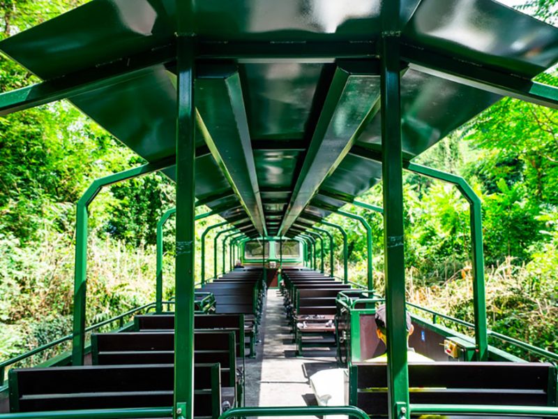 La-carrozza-panoramica-per-il-turismo-lento-nella-zona-del-lago-d’Iseo-com1