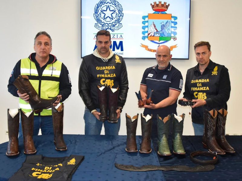 La-merce-sequestrata-all’aeroporto-di-Roma-durante-controlli-sul-commercio-illecito-di-pellame-di-specie-protetta-com1