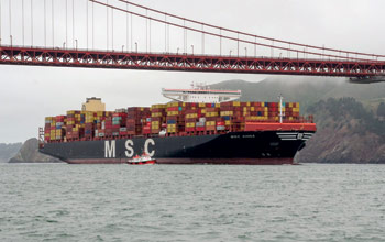 MSC-ANNA