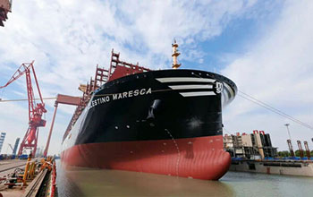 MSC-Celestino-Maresca