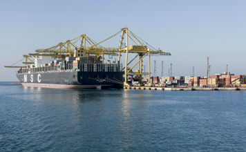 MSC-Paloma-Ph-fabriziogiraldi