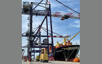 MSC-SHEILA
