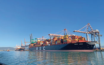 MSC