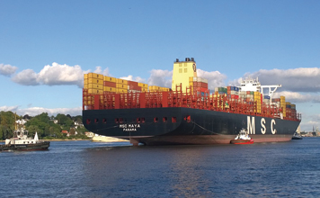 MSC_Maya