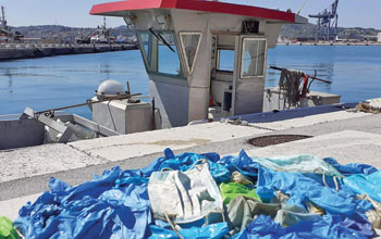 Macherine-e-guanti-raccolti-nel-Porto-di-Ancona