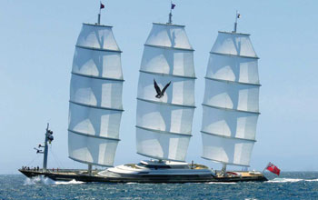Maltese-Falcon-Perini