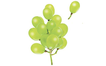 Marevivo-palloni-gonfiati