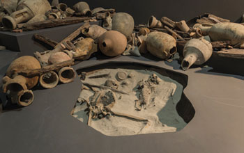 Museo-Navi-Antiche_MarinaioCane