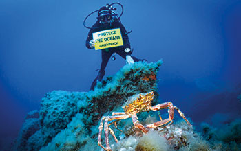 PROTECT-THE-OCEANS