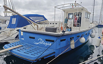 Pelagia-Unisalento