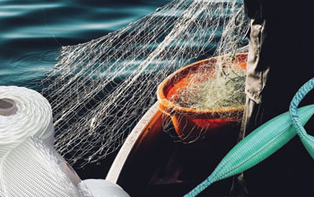 Pesca-Professionale