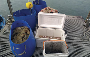 STOP–ALLA-PESCA-ILLEGALE