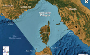 La portacontenitori cipriota Virginia  “bandita” dal santuario Pelagos