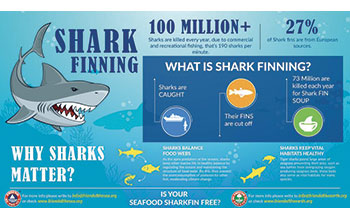 Save-the-shark