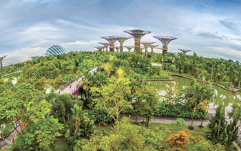 Singapore-green
