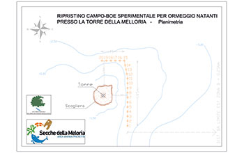 Tav_unica_planimetria-Campo-Boe