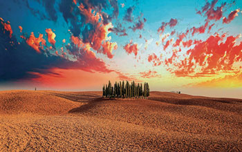 Toscana-cipressi