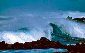 acidificazione-degli-oceani