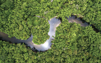 amazzonia2