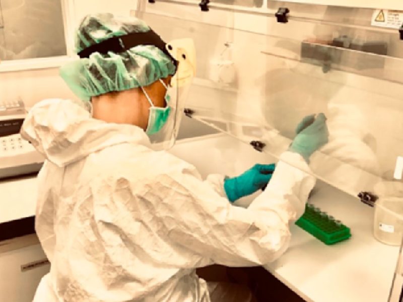 analisi-dentarie-sui-resti-di-sei-necropoli-comsi1