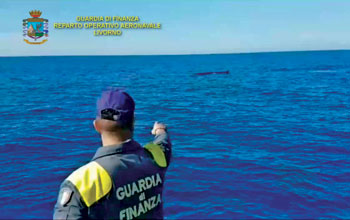 balena-Guardia-Finanza