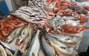 banco-di-pesce